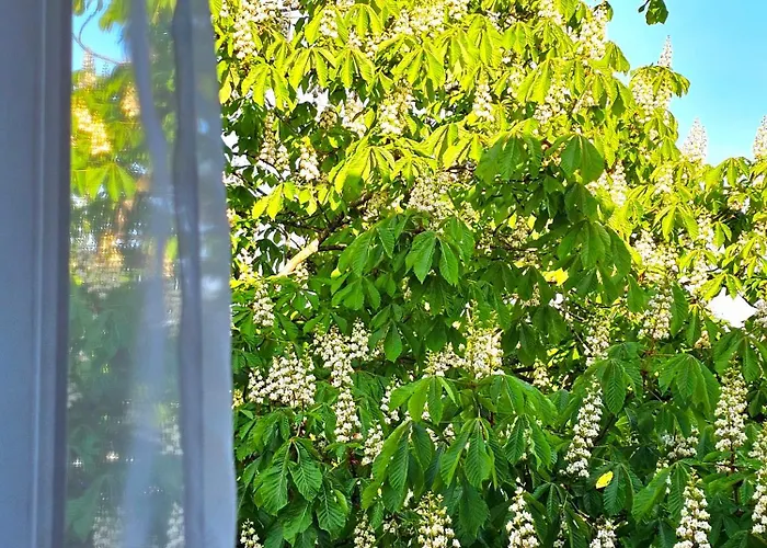 Apartment Apartamentai 76 *